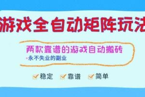 两款靠谱的游戏全自动搬砖项目，日入1k+，稳定可矩阵，永不失业的副业【揭秘】-麦资源网