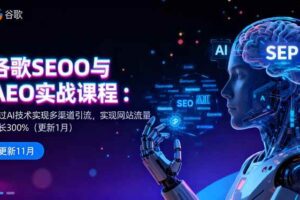 （16463期）谷歌SEO与AEO实战课程：通过AI技术实现多渠道引流，实现网站流量增长300%-麦资源网