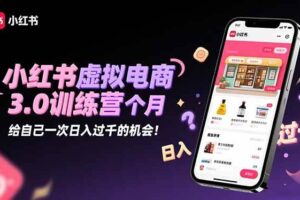（16512期）小红书虚拟电商3.0训练营：2025最后1个月，给自己一次日入过千的机会！-麦资源网