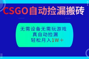 CSGO自动捡漏搬砖,当天操作当天见结果,无需了解游戏,包教包会包落地-麦资源网