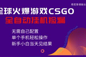 火爆游戏CSGO全自动捡漏，独家最新玩法，单个手机可操作，新手小白日入500+-麦资源网
