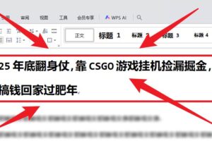 （16533期）25年底翻身仗，靠CSGO游戏挂机捡漏掘金，搞钱回家过肥年-麦资源网