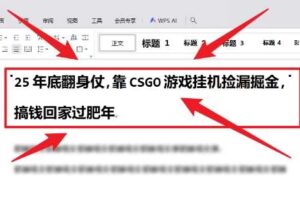 25年底翻身仗，靠CSGO游戏挂G捡漏掘金，搞钱回家过肥年【揭秘】-麦资源网