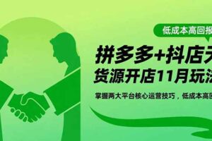 （16546期）拼多多+抖店无货源开店11月玩法：掌握两大平台核心运营技巧，低成本高回报-麦资源网