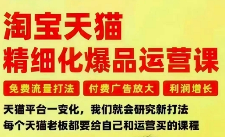 淘宝天猫精细化爆品运营课，免费流量打法-付费广告放大-利润增长-三大*痛点，一次全部解决