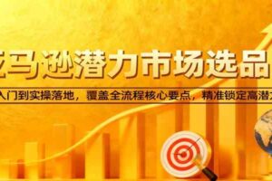 亚马逊从0到1选品课，新手入门到实操落地，覆盖全流程核心要点，精准锁定高潜力市场-麦资源网