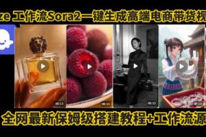 coze智能体sora2一键生成电商带货高端视频工作流保姆级拆解教程，无需剪辑，无需拍摄-麦资源网