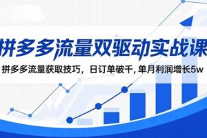 （16563期）拼多多流量双驱动实战课：拼多多流量获取技巧，日订单破千,单月利润增长5w-麦资源网