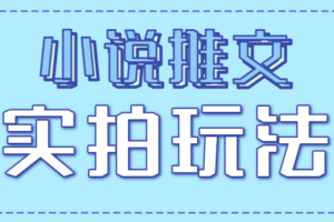 小说推文实拍玩法，零成本零门槛10元/单，轻松月收益万元-麦资源网