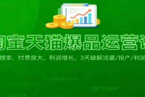 淘宝天猫爆品运营课：免费搜索，付费放大，利润增长，3 天破解流量/ 投产/利润痛点-麦资源网