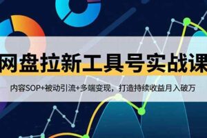 （16687期）网盘拉新工具号实战课，内容SOP+被动引流+多端变现，打造持续收益月入破万-麦资源网