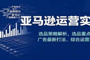 亚马逊运营实操，选品策略解析，选品重点方法、广告最新打法、综合运营技巧等-麦资源网