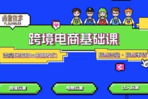 TikTok跨境电商基础课，专为想深耕跨境赛道的粉丝打造，解决抖音外站教学限制痛点-麦资源网