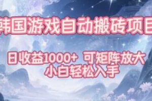 韩国游戏自动搬砖项目，日收益1k+，可矩阵放大，小白轻松入手【揭秘】-麦资源网