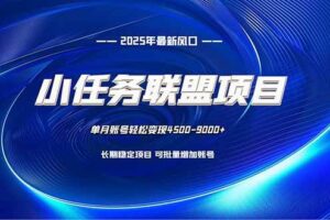 （16521期）小任务联盟项目：一台电脑每天只需10分钟，轻松简单稳定-麦资源网