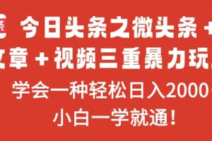 （16556期）今日头条之微头条＋文章＋视频三重暴力玩法，学会一种轻松日入2000＋，…-麦资源网