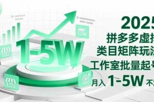（16548期）2025 拼多多虚拟类目矩阵玩法，工作室批量起号，月入 1-5W 不难-麦资源网
