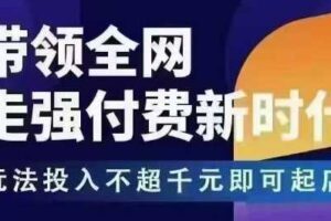 王校长拼多多无限活动流，带领全网走强付费新时代，玩法投入不超千元即可起店-麦资源网