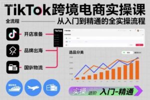 TikTok跨境电商实操课，从入门到精通的全实操流程-麦资源网