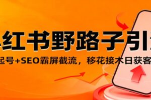小红书野路子引流，暴力起号+SEO霸屏截流，移花接木日获客100+-麦资源网