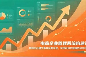 （16643期）电商企业管理系统构建课：帮助企业建立高效运营系统，实现利润与规模的同步跃升-麦资源网