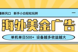 （16454期）最新蓝海项目，海外美金广告，单机单日500+，可矩阵放大，设备越多收益…-麦资源网