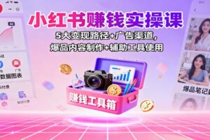 小红书赚钱实操课：5大变现路径+广告渠道，爆品内容制作+辅助工具使用-麦资源网