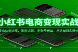 小红书电商变现实战课，冷启动全流程，测款运营，多账号玩法，从认知到实操快速起店-麦资源网