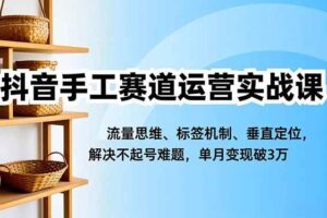 （16667期）抖音手工赛道运营实战课，流量思维、标签机制、垂直定位，解决不起号难题，单月变现破3万-麦资源网