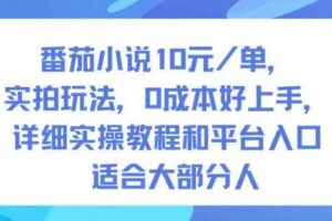 番茄小说10米每单，实拍玩法，0成本好上手，详细实操教程和平台入口适合大部分人-麦资源网