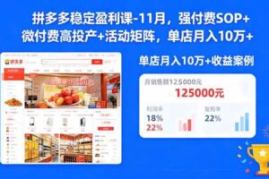 (16557期)拼多多稳定盈利课-11月,强付费SOP+微付费高投产+活动矩阵,单店月入10w+-麦资源网