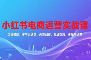 （16695期）小红书电商运营实战课，店铺搭建、多平台选品、内容创作、私域引流、多账号运营等玩法-麦资源网