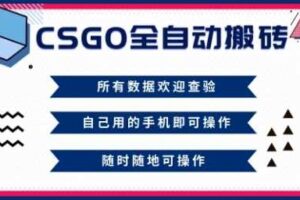 CSGO全自动搬砖,年底钱回家好项目,当天可拿到结果,新手小白轻松月入1W+【揭秘】-麦资源网