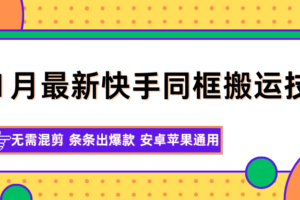 11月最新快手同框搬运技术，无需混剪 条条出爆款 安卓苹果通用-麦资源网