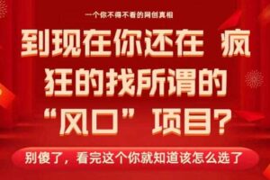 马上26年了，你还在找所谓的风口项目？别傻了，看完这个你全都懂了！【揭秘】-麦资源网
