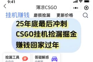 （16735期）12月年底抓紧最后一个月，用CSGO游戏挂机捡漏掘金赚钱掘金，一部手机轻松日入500+-麦资源网