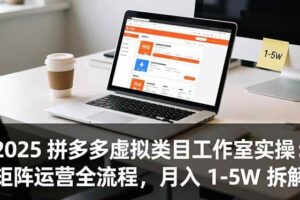 （16748期）2025 拼多多虚拟类目工作室实操：矩阵运营全流程，月入 1-5W 拆解-麦资源网
