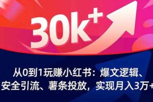 （16725期）从0到1玩赚小红书：爆文逻辑、安全引流、薯条投放，实现月入3万+-麦资源网