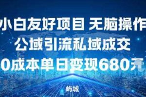 小白友好项目，无脑操作，公域引流私域成交，0成本单日变现680米-麦资源网