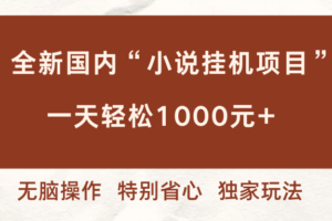（16833期）全新国内小说挂G项目，多窗口无脑跑，一天轻松1k+，特别省心【揭秘】-麦资源网