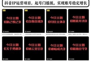 抖音IP运营项目，抖音今日主题玩法，起号门槛低，实现账号稳定增长-麦资源网