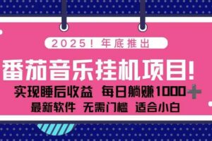 （16835期）全新平台，蓝海时期！2025年年底番茄音乐挂机项目，每天几分钟，月入1000＋，可矩阵-麦资源网