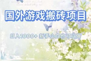 国外游戏搬砖项目，日入1k+，全自动解放双手，新手小白也可做【揭秘】-麦资源网