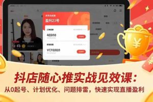 （16726期）抖店随心推实战见效课：从0起号、计划优化、问题排雷，快速实现直播盈利-麦资源网