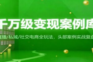 千万级变现案例库：直播/私域/社交电商全玩法，200+头部案例实战复盘-麦资源网