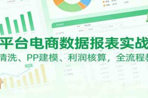 多平台电商数据报表实战课：PQ清洗、PP建模、 利润核算，全流程教学-麦资源网