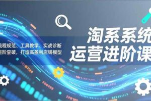 (16927期)淘系系统运营进阶课2.0,流程规范、工具教学、实战诊断,进阶突破,打造高盈利店铺模型-麦资源网