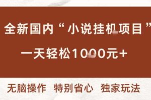 全新国内小说挂G项目，多窗口无脑跑，一天轻松1k+，特别省心【揭秘】-麦资源网