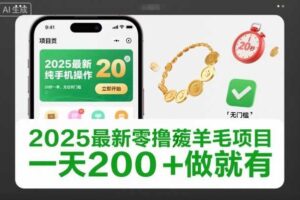 2025最新零撸薅羊毛项目，纯手机操作，20秒一单，无任何门槛，一天200+做就有【揭秘】-麦资源网
