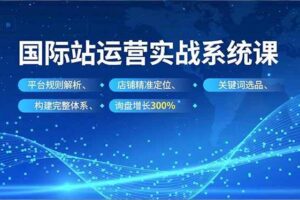 （16751期）国际站运营实战系统课，平台规则解析、店铺精准定位、关键词选品，构建完整体系询盘增长300%-麦资源网